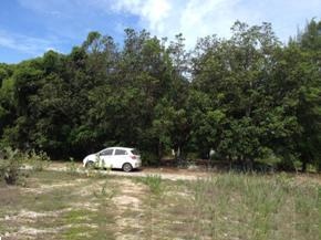 Bán đất Dốc Lết, thôn Đông Cát, Ninh Hải, Ninh Hoà, Khánh Hoà