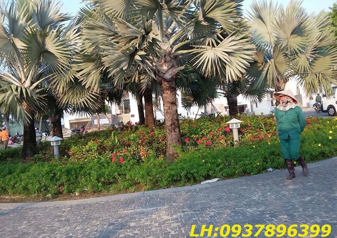 Bán đất nền khu dân cư Tân Đức, Đức Hòa, Long An, giá 1.8 tr/m2. DT 125m2, gọi ngay 0937.896.399