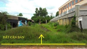 Đất thổ cư mặt tiền tỉnh lộ 15, Tân Thạnh Đông, Củ Chi 12.5m x 30m