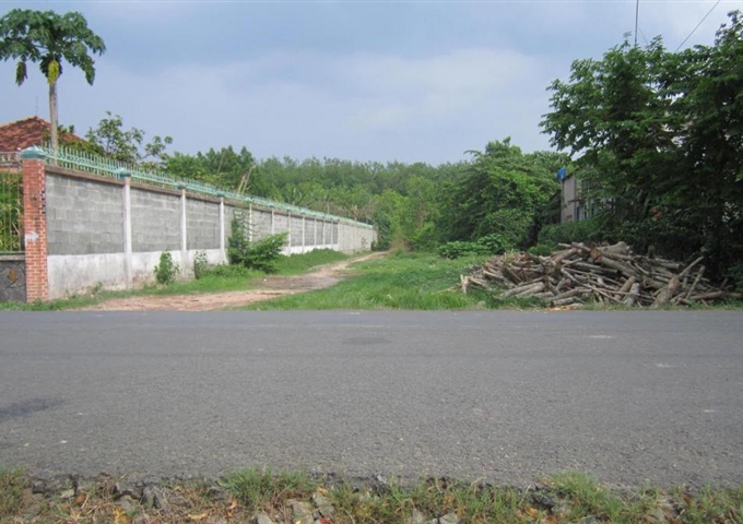 Đất thổ cư mặt tiền tỉnh lộ 15, Tân Thạnh Đông, Củ Chi 12.5m x 30m