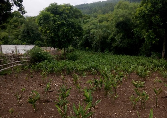 Cần bán lô đất trang trại 1.1 ha, ở Lương Sơn, giá 1.1 tỷ