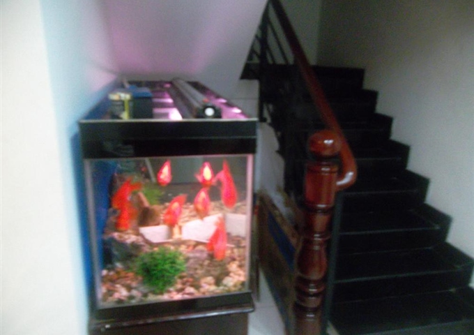 Cho thuê phòng trọ đầy đủ tiện nghi, chính chủ 0902595962