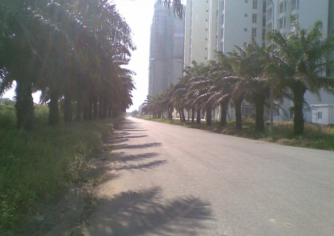 Bán đất KDC 13E Intresco DT 140m2 ngay trục đường chính Số 4 đối diện chung cư Terra Rosa, giá rẻ 