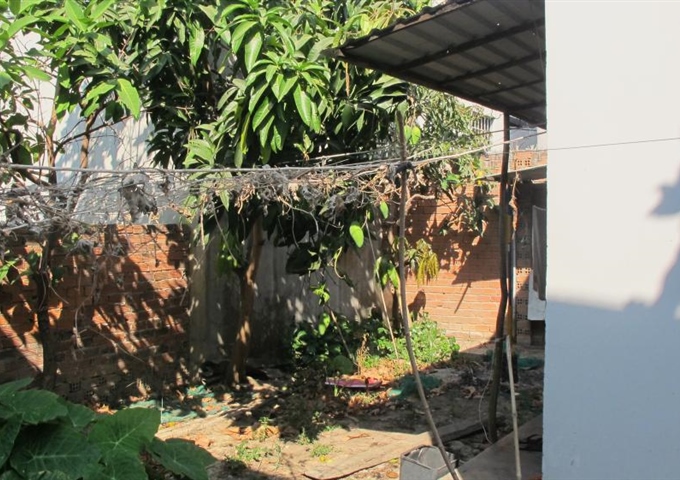 Bán nhà cấp 4 rất đẹp tại hẻm 828 Bình Giã, P10 - TP. Vũng Tàu. LH 0909334071