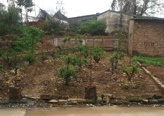 Bán đất vườn Nhật Tân, Phú Thượng, Tây Hồ, Hà Nội