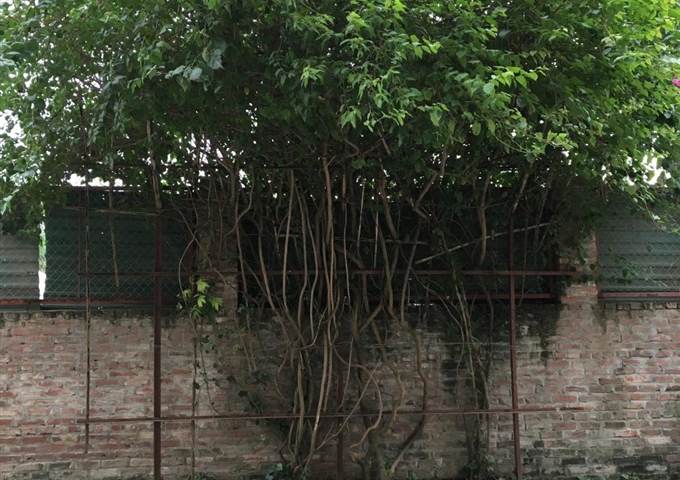 Bán nhà ngõ 683 Nguyễn Khoái - (sổ đỏ chính chủ) - 77m2