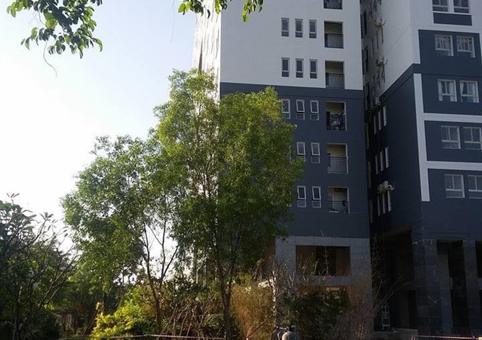 Bán căn hộ Dream Home 1, Phạm Văn Chiêu, P. 14, Gò Vấp. 64m2, giá 1,15 tỷ