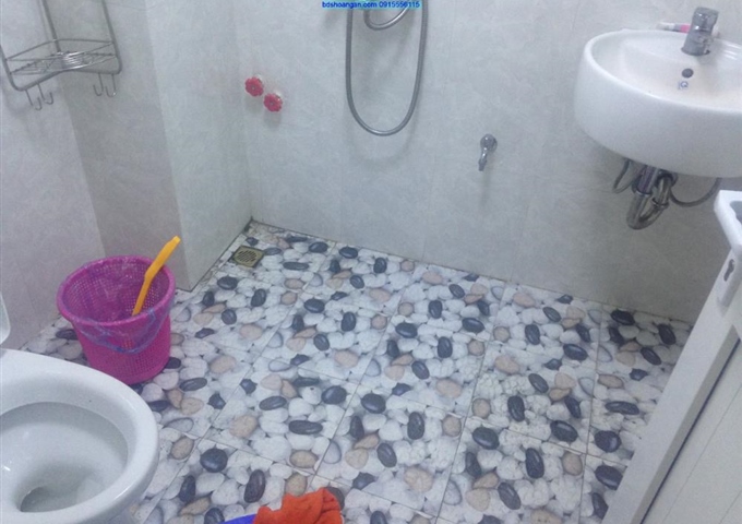 Cho thuê căn hộ chung cư mini Hào Nam, Đê La Thành