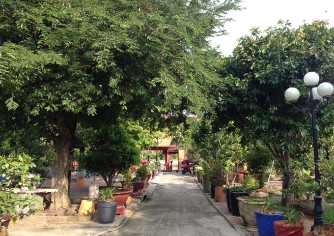 Bán nhà vườn đẹp 10.000 m2 nhiều cây ăn trái, ao - xã Nhị Thành, huyện Thủ Thừa, Long An giá 6 tỷ