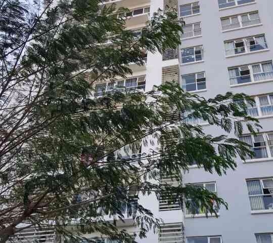 Bán căn hộ Sài Gòn Mới đường Huỳnh Tấn Phát, 3PN giá 1.1 tỷ. LH 0909150044