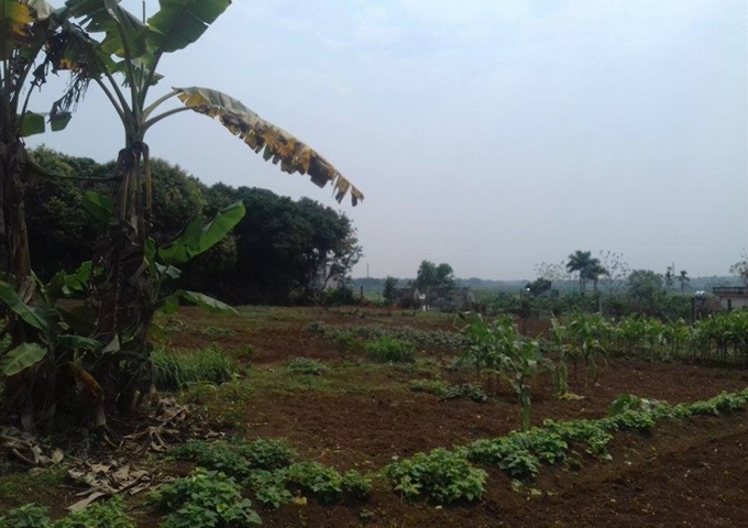 Bán 4000m2 đất trang trại nhà vườn Quốc Oai, Hà Nội