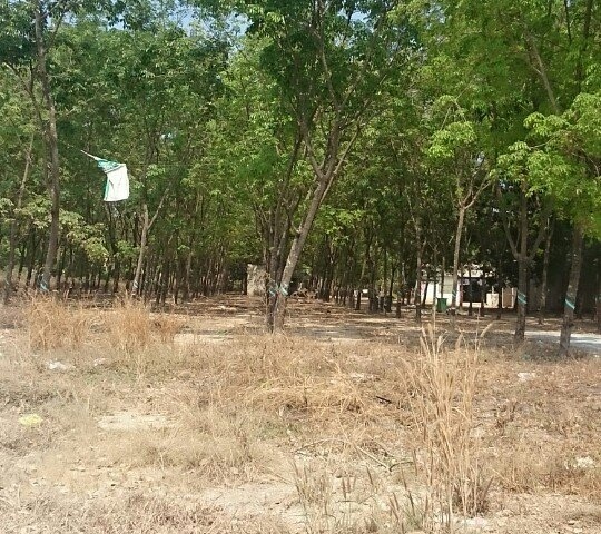 Cần bán gấp nhiều diện tích đất SKC Tân Uyên Bình Dương - 093.894.0809 anh Hiệp