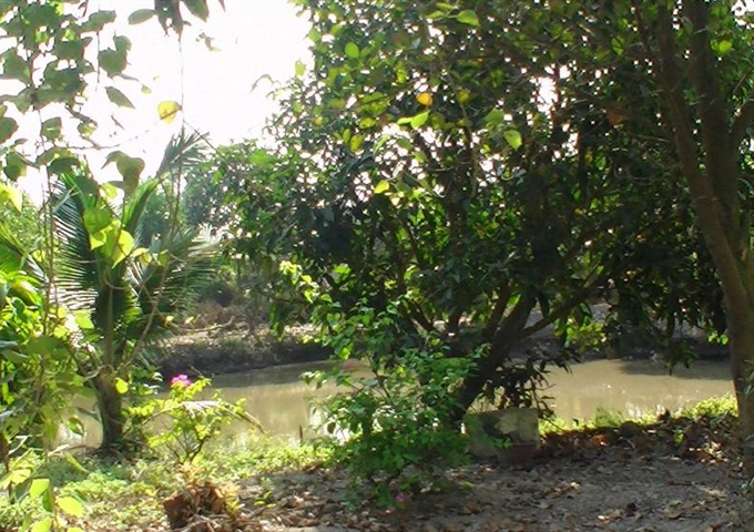 đất vườn trái cây, ao cá, có sổ hồng tại Long An,2.400m2, giá 1.2 tỷ, thích hợp nghỉ dưỡng