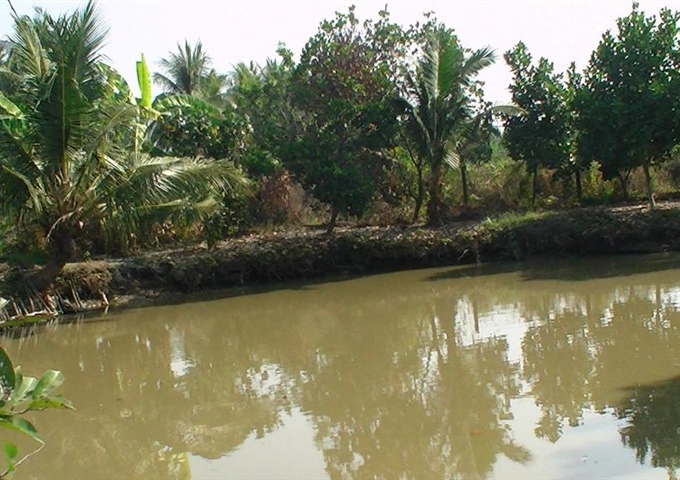 đất vườn trái cây, ao cá, có sổ hồng tại Long An,2.400m2, giá 1.2 tỷ, thích hợp nghỉ dưỡng