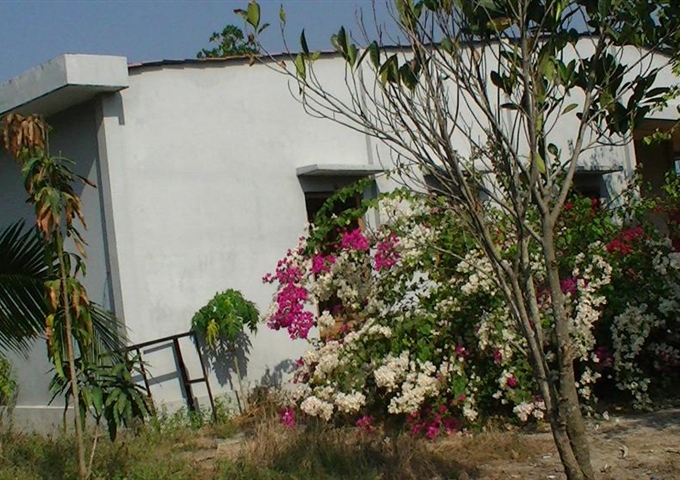 đất vườn trái cây, ao cá, có sổ hồng tại Long An,2.400m2, giá 1.2 tỷ, thích hợp nghỉ dưỡng