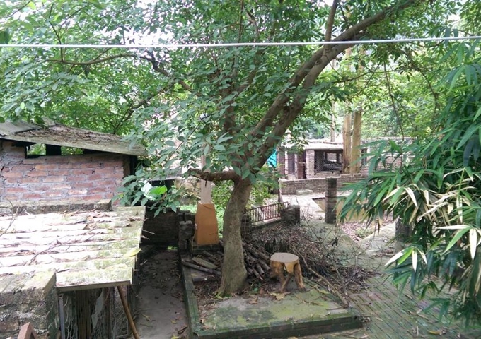 Cho thuê đất trang trại - Sóc Sơn - Hà Nội (4000m2)