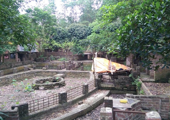 Cho thuê đất trang trại - Sóc Sơn - Hà Nội (4000m2)