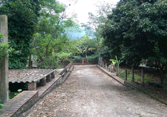 Cho thuê đất trang trại - Sóc Sơn - Hà Nội (4000m2)