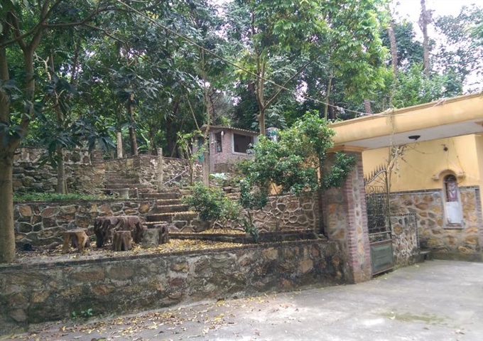 Cho thuê đất trang trại - Sóc Sơn - Hà Nội (4000m2)