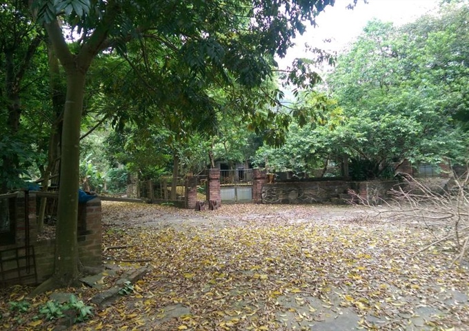 Cho thuê đất trang trại - Sóc Sơn - Hà Nội (4000m2)