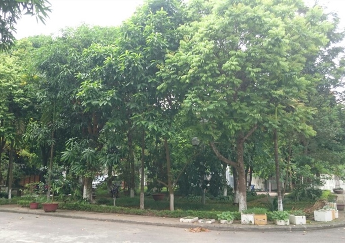 Cần bán BT D5, khu C, số 56 Vườn Đào, Lạc Long Quân, Võ Chí Công, Tây Hồ