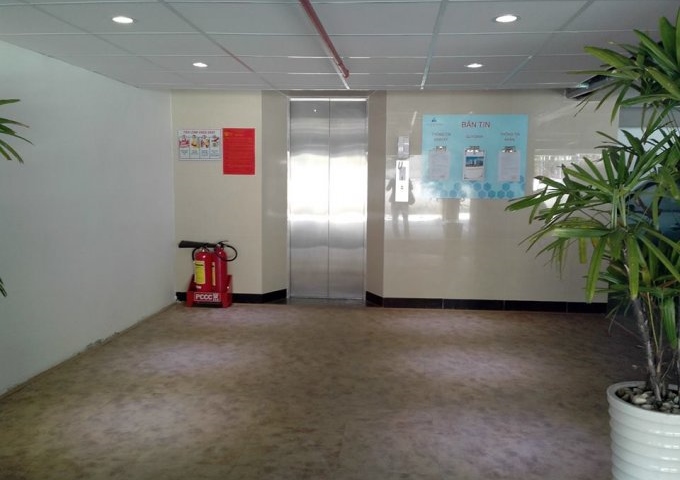 Cho thuê căn hộ Bee Home chỉ ~ 3tr7/tháng, ngay Cộng Hòa - E Town, thang máy, an ninh 24/7