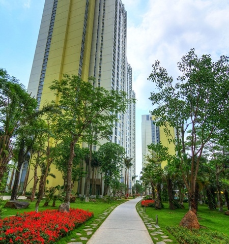 Bán 71m2 chung cư Rừng Cọ Ecopark. DT 71m2 view Vườn Tùng
