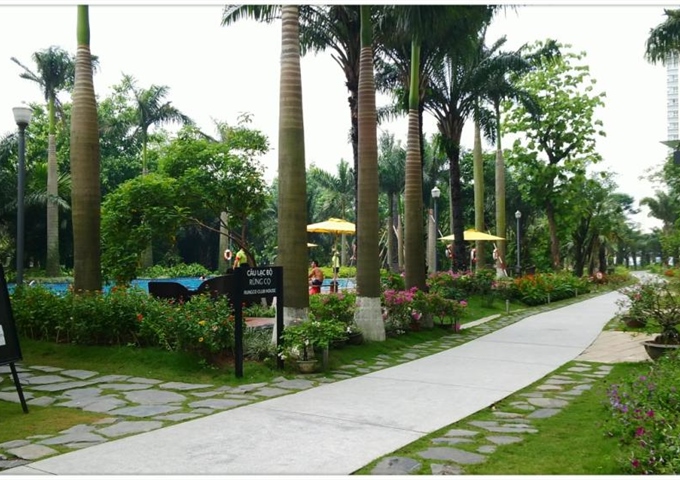 Bán 71m2 chung cư Rừng Cọ Ecopark. DT 71m2 view Vườn Tùng