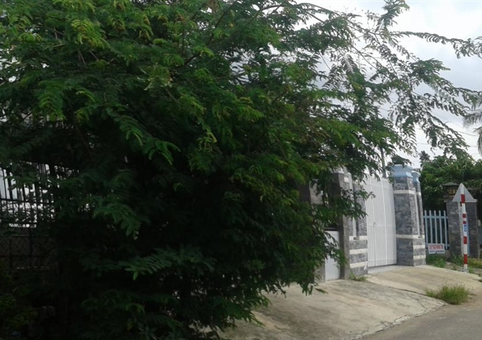 Long Thành ấp Xóm Gò Bà Ký - Đất đẹp – thổ cư 100%, sổ riêng–179 triệu/nền (100% giá, bao sang tên)