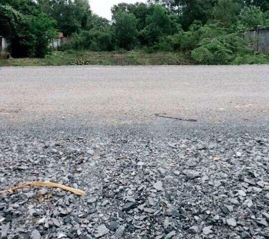 Đất mặt tiền đường Long Phước, gần cầu Cây Me, Phường Long Phước, Q9. LH 0912480011 gặp Duy