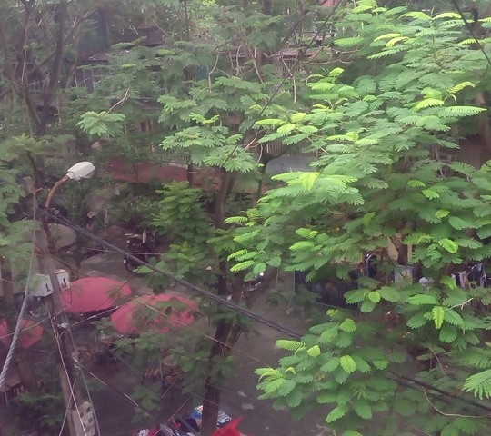 Cho thuê căn hộ tập thể D4 Giảng Võ, Trần Huy Liệu, Quận Ba Đình, HN. Sau tòa nhà D2, 100m2, 7tr/th