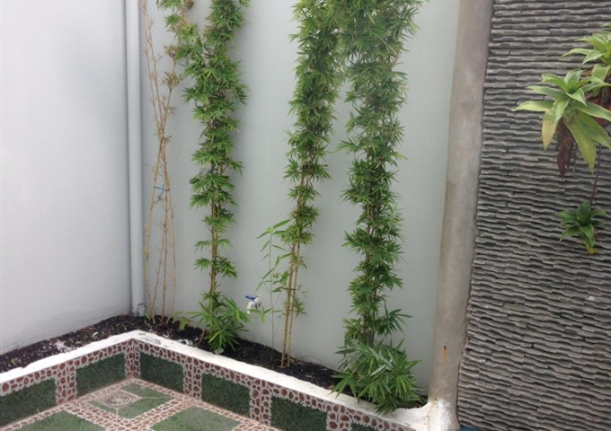 Bán nhà phố mới 100%, khu dân cư Thảo Nhi, Hóc Môn