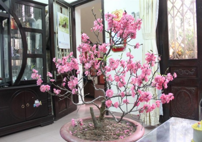 Chính chủ bán nhà 171 Đặng Tiến Đông, sổ đỏ 71m2 x 3 tầng, giá cực rẻ, vị trí tốt, gần mọi tiện ích