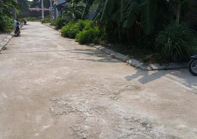 Cần bán gấp đất khu tập thể xóm 3 nhà máy Z123 - Xuân Hòa - Phúc Yên