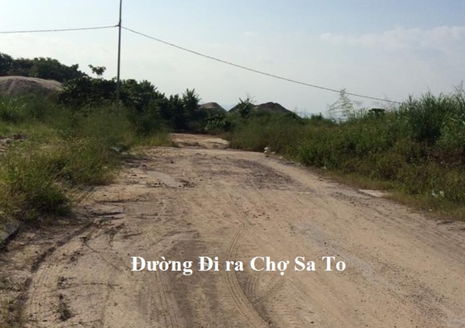 Bán nhiều lô đất sau lưng chợ Sato, KĐT Cao Xanh Hà Khánh A