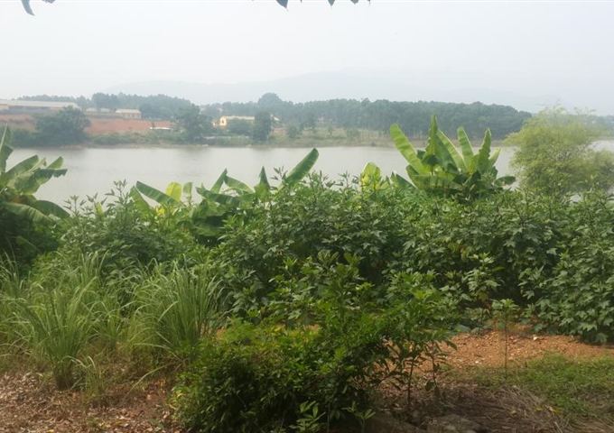 Bán 3000m2 đất mặt hồ Đồng Chanh, Lương Sơn, Hoà Bình. Giá rẻ 2,5 tỷ