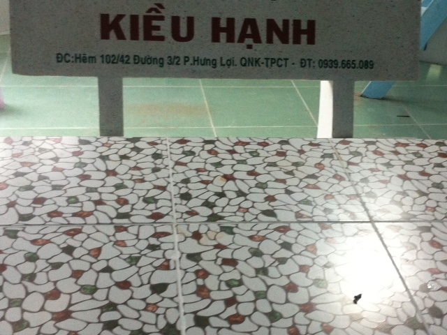 Cho thuê phòng trọ Kiều Hạnh, tại Q. Ninh Kiều, TP. Cần Thơ. Liên hệ SĐT: 0909.36.37.99 (Hạnh)