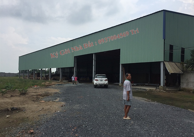 Trí BĐS - Đất và nhà xưởng 17.000m mặt tiền Quốc Lộ 1A, TP Tân An (gần ngã 5 Tân Trụ), 1.5 triệu/m2