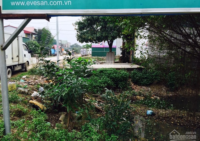 Bán 200m2 đất tại số 388 Đường Phạm Hồng Thái - TP.Vinh - Tỉnh Nghệ An