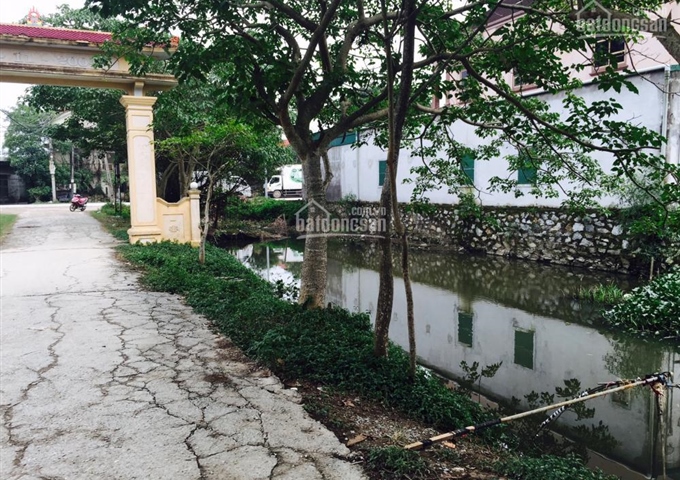 Bán 200m2 đất tại số 388 Đường Phạm Hồng Thái - TP.Vinh - Tỉnh Nghệ An