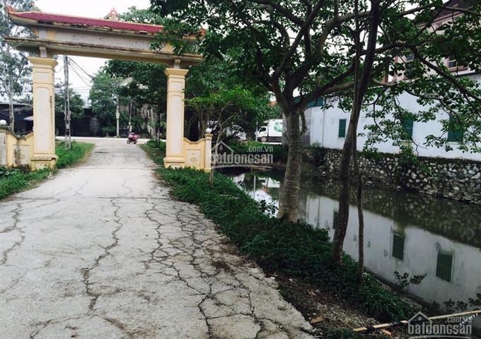 Bán 200m2 đất tại số 388 Đường Phạm Hồng Thái - TP.Vinh - Tỉnh Nghệ An