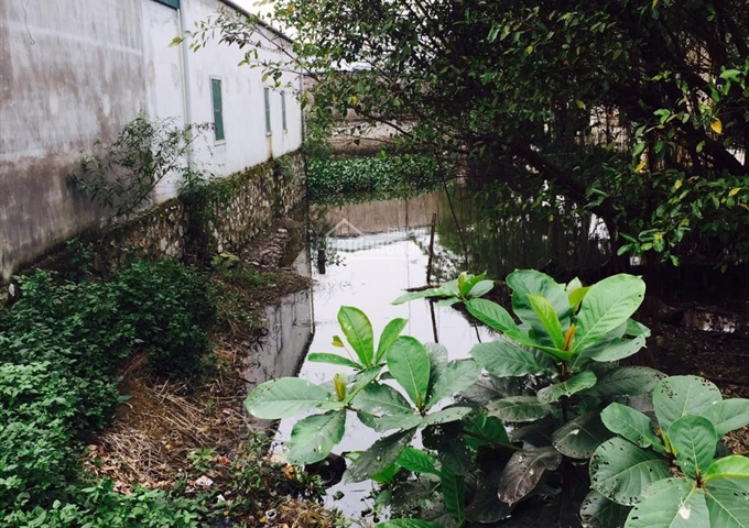 Bán 200m2 đất tại số 388 Đường Phạm Hồng Thái - TP.Vinh - Tỉnh Nghệ An