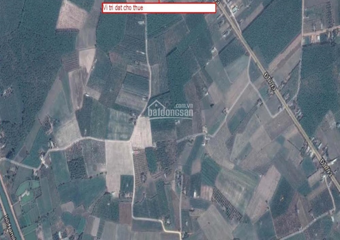 Cần cho thuê đất nông nghiệp sạch 10000 m2, 20tr/năm