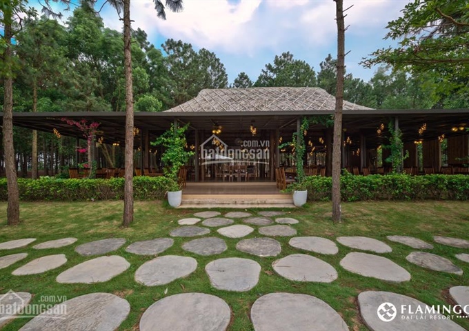 Bán biệt thự Flamingo Đại Lải B108 lô góc, view hồ, giá tốt nhất thị trường