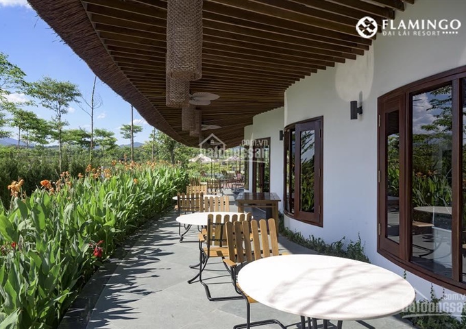 Bán biệt thự Flamingo Đại Lải B108 lô góc, view hồ, giá tốt nhất thị trường