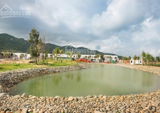 Chính chủ, cần chuyển nhượng gấp những căn Oceanami hướng biển với giá ưu đãi nhất thị trường