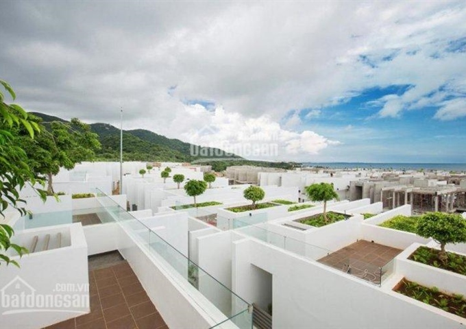 Chính chủ, cần chuyển nhượng gấp những căn Oceanami hướng biển với giá ưu đãi nhất thị trường