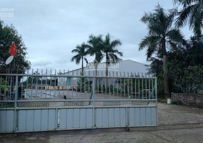 Thanh lý gấp đất và nhà xưởng diện tích 11.320m2 tại huyện Lương Sơn, tỉnh Hòa Bình