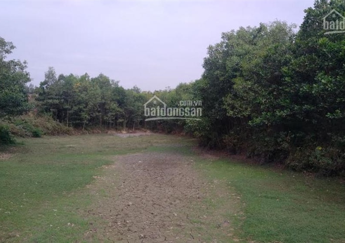 Bán gấp lô đất 50 năm diện tích 4ha tại xã Cao Thắng, huyện Lương Sơn, tỉnh Hòa Bình