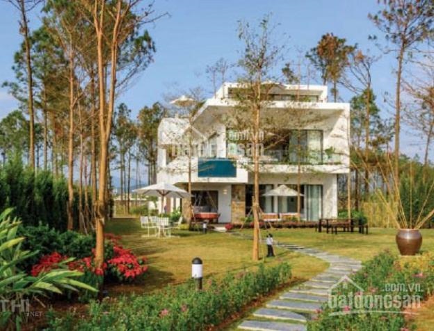 Bán biệt thự Flamingo Đại Lải B108 lô góc, view hồ, giá tốt nhất thị trường